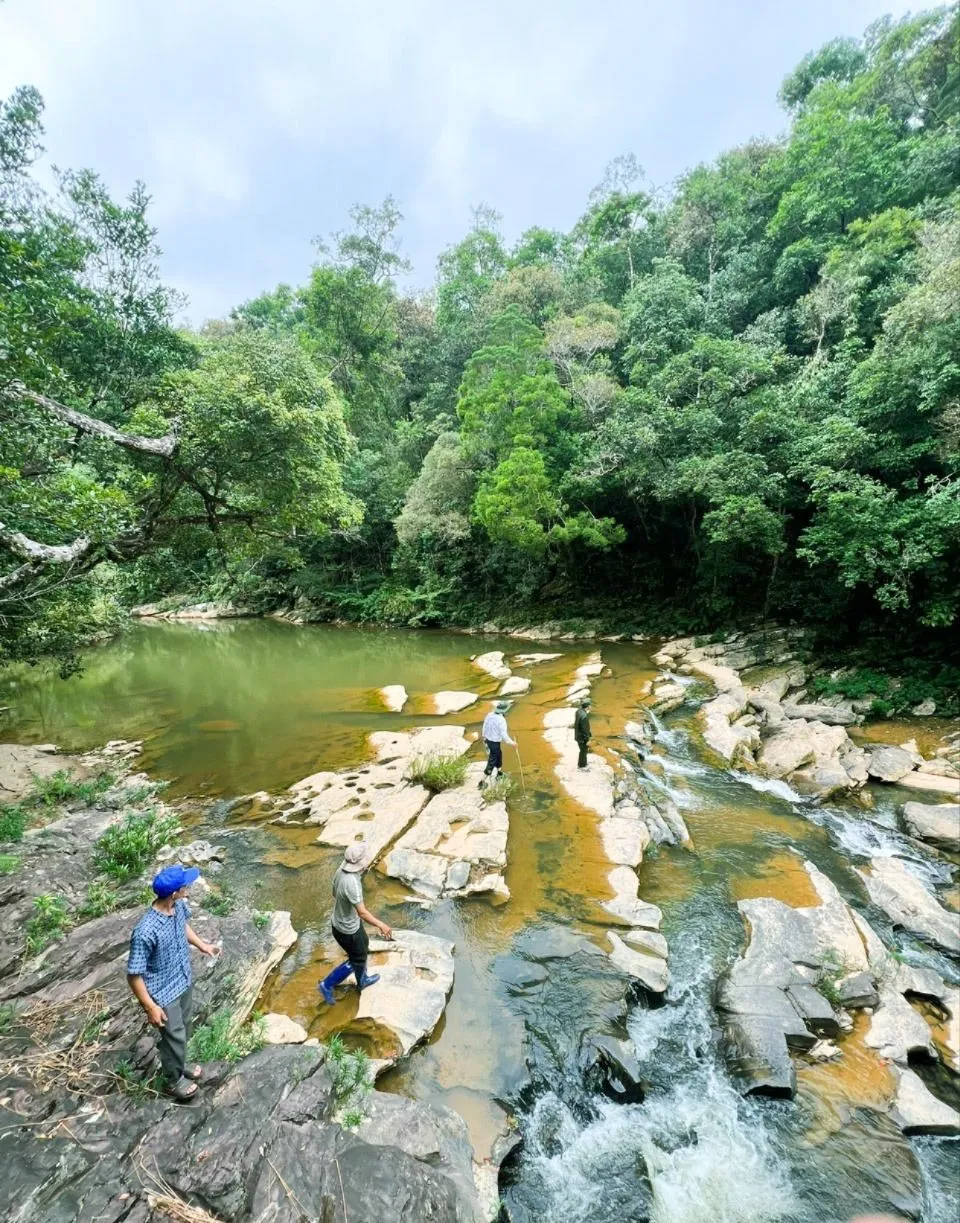 Người đi rừng lưu luyến với vẻ đẹp nơi đây 13 (1 of 1).jpg