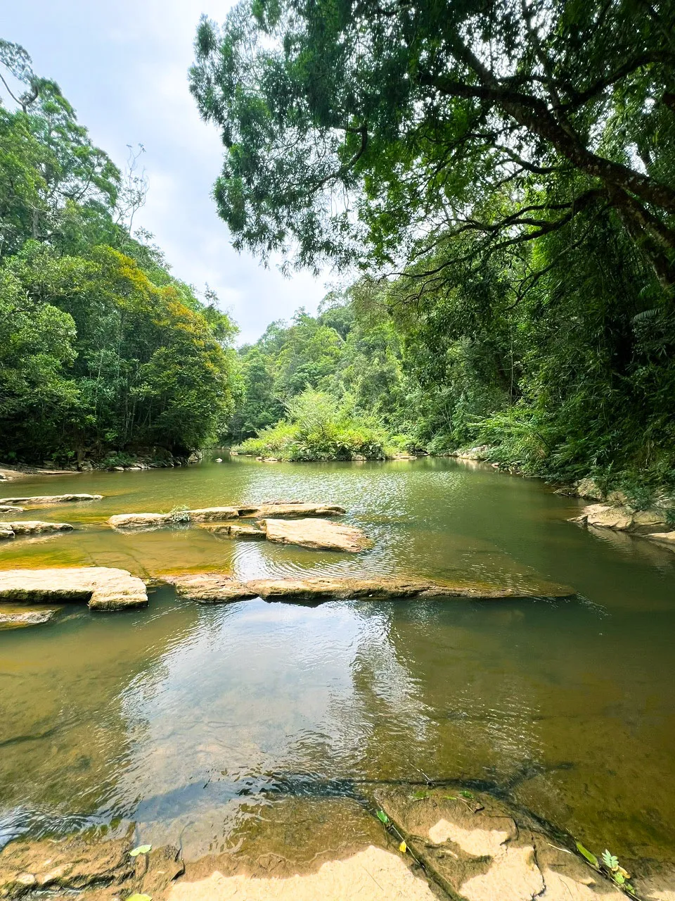 Cảnh quang xung quanh thác nước đẹp đến ngỡ ngàng 14 (1 of 1).jpg
