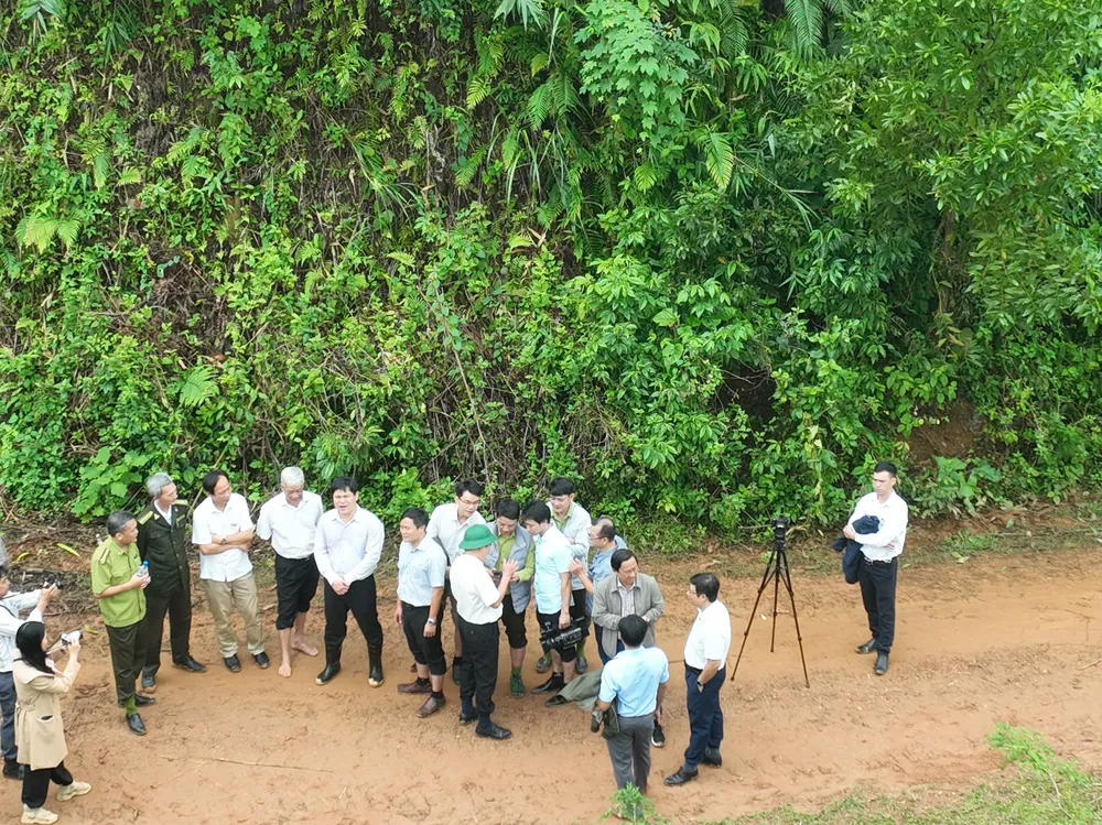 Các ngành chức năng kiểm tra thực địa quản lý, bảo vệ rừng. Ảnh: NGUYỄN TRANG DJI_0167.JPG