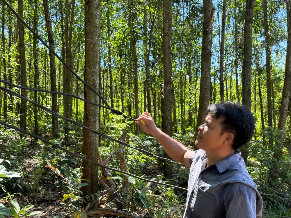 Người dân phải tự kéo điện về sử dụng, gây mất an toàn điện ho dan (3).jpg