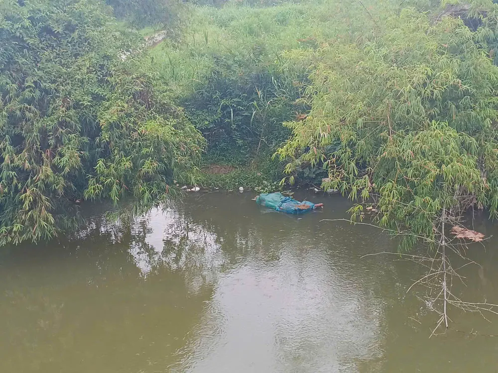 Tình trạng này xảy ra gần đây khiến người dân địa phương lo lắng. Ảnh: UBND xã Bình Chương heo chet.jpg
