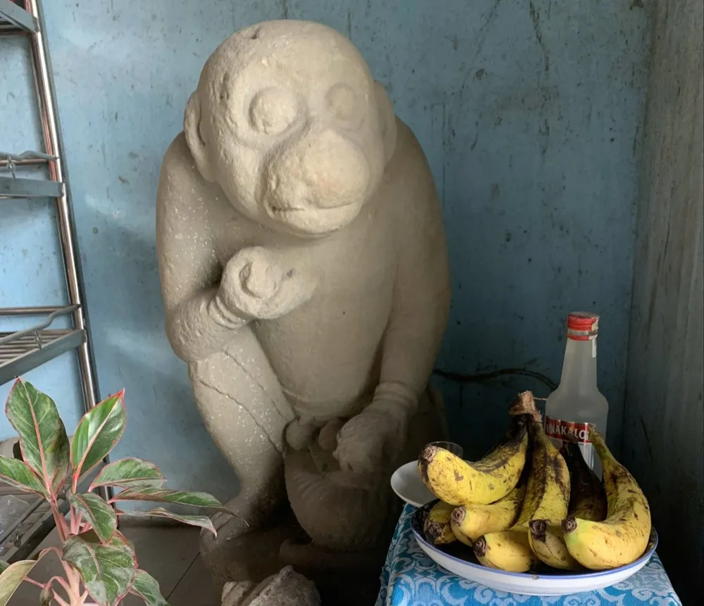 Sau khi phát hiện Tượng thần Khỉ Hanuman, ông Lục đem về nhà và đặt thờ trước khi trao cho Bảo tàng Tổng hợp tỉnh Quảng Ngãi 275685653716740100.jpg