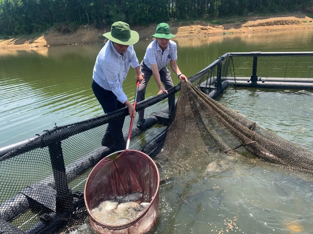 Tổ chức nghiệm thu đánh giá mô hình nuôi cá thát lát, cá lăng nghiệm thu
