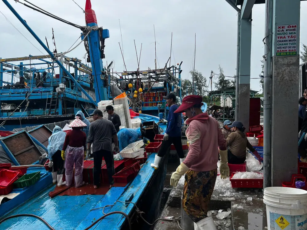 Các tàu cá hối hả vào cảng bán cá, neo tàu tránh bão. Ảnh: NGUYỄN TRANG 4411192314914674978.jpg
