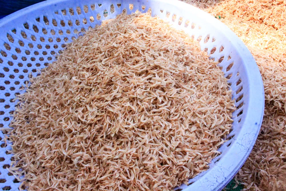 ruoc 13 (1 of 1).jpg