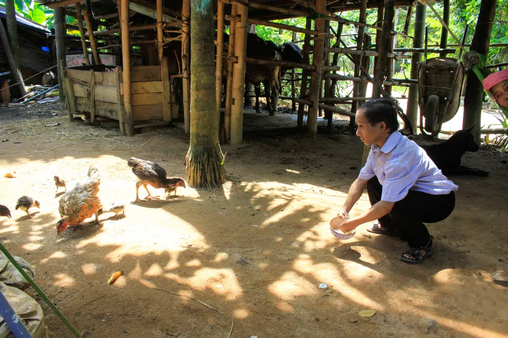Khít ước mơ đậu đại học để bà ngoại không còn khổ cực. Ảnh: NGUYỄN TRANG ti hon 15 (1 of 1).jpg