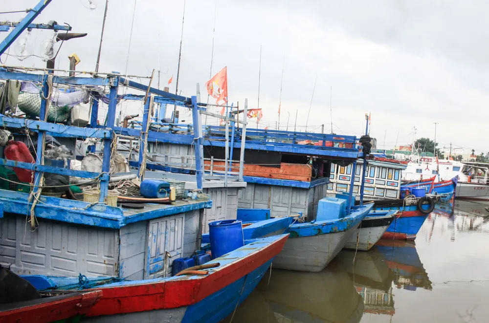 Tàu thuyền vào nơi neo đậu cảng Tịnh Hòa, xã Đông Sơn, tỉnh Quảng Ngãi vào sáng ngày 21-10. Ảnh: NGUYỄN TRANG tau 3 (1 of 1).jpg