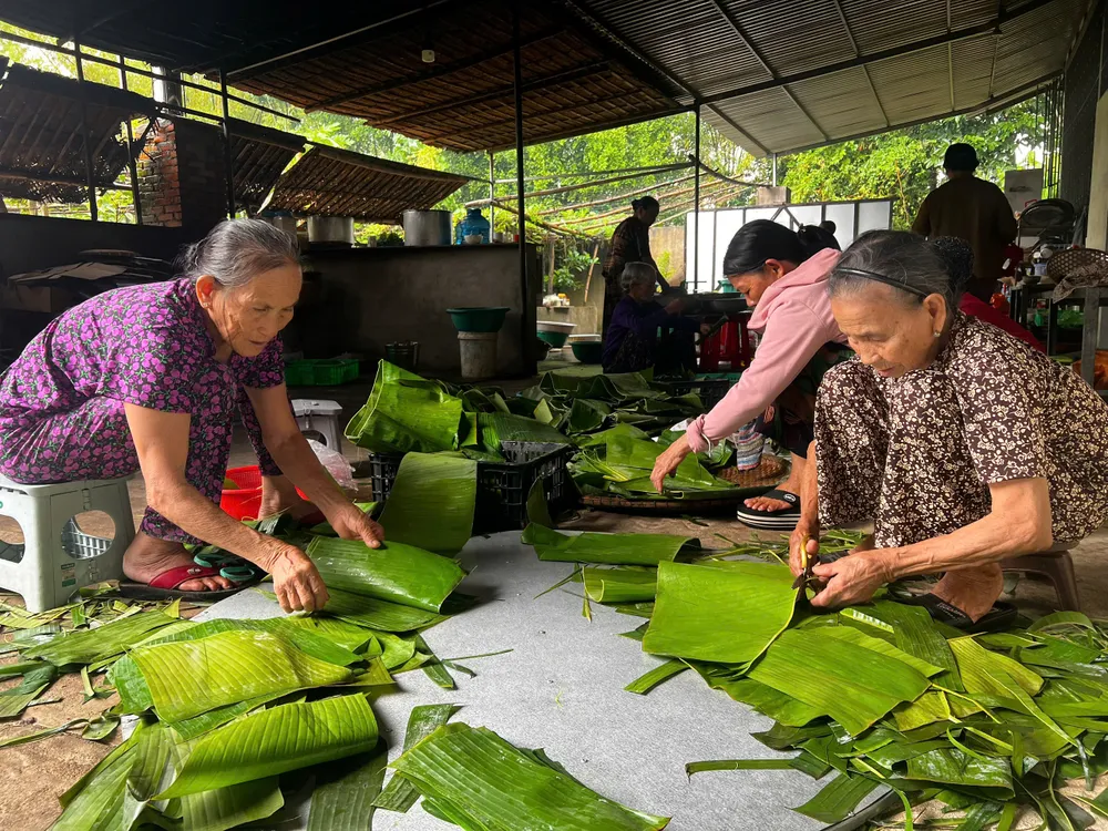 Các cụ bà cũng tập trung về chùa để phụ giúp cắt lá chuối, nấu bánh chưng, bánh tét. Ảnh: NGUYỄN TRANG bánh chưng (9).jpg
