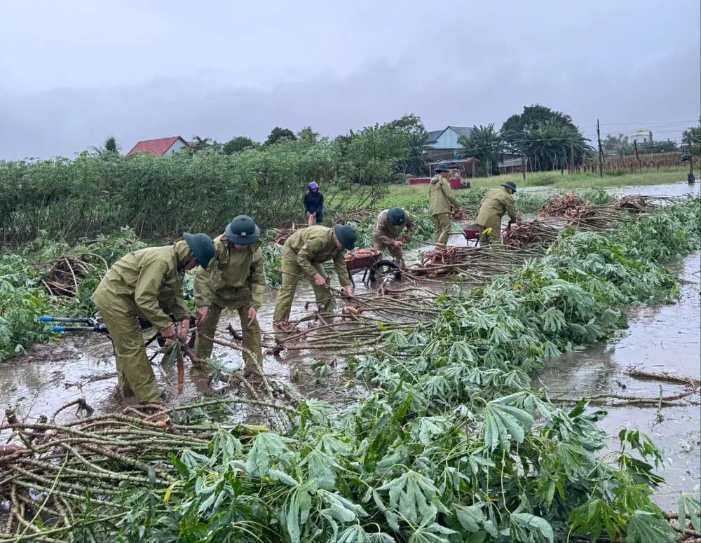 biên phòng đức minh (10).jpg