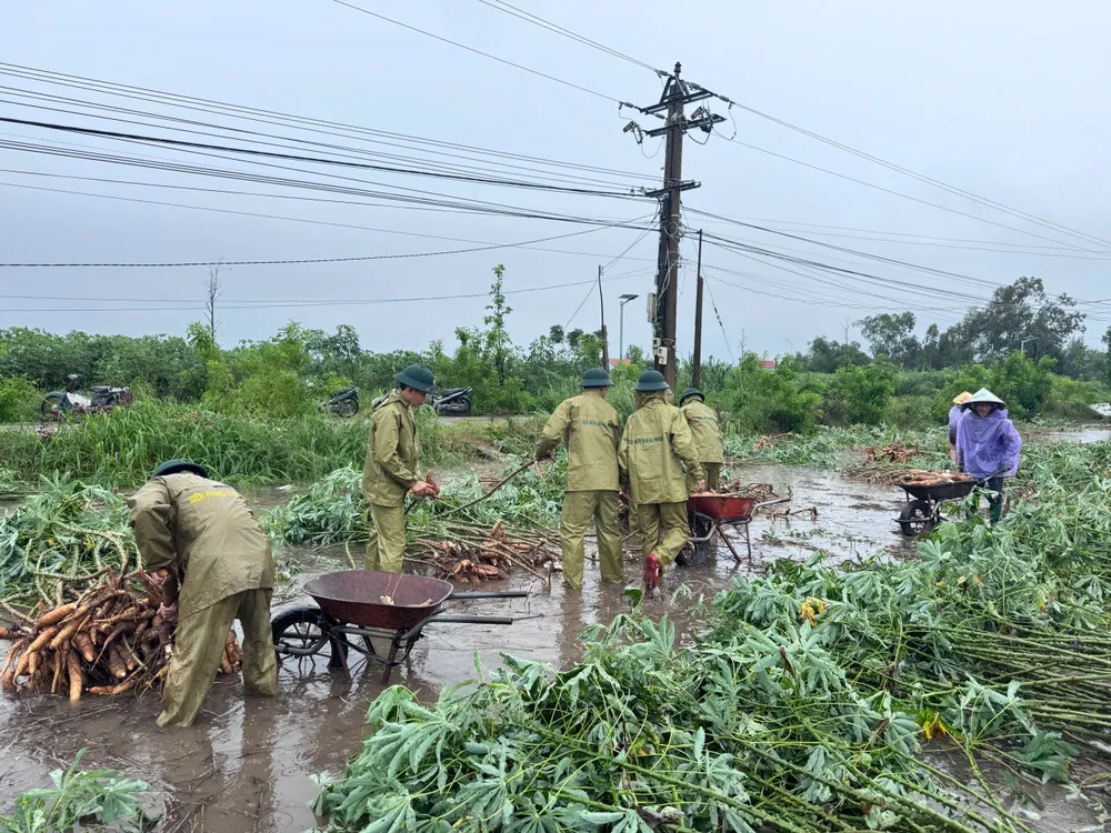 biên phòng đức minh (3).jpg