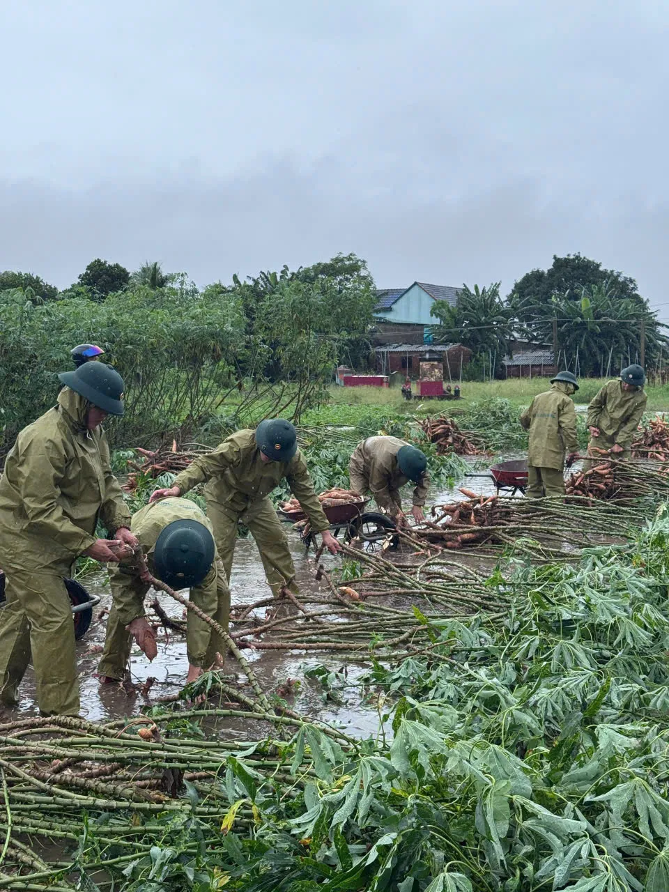 biên phòng đức minh (5).jpg