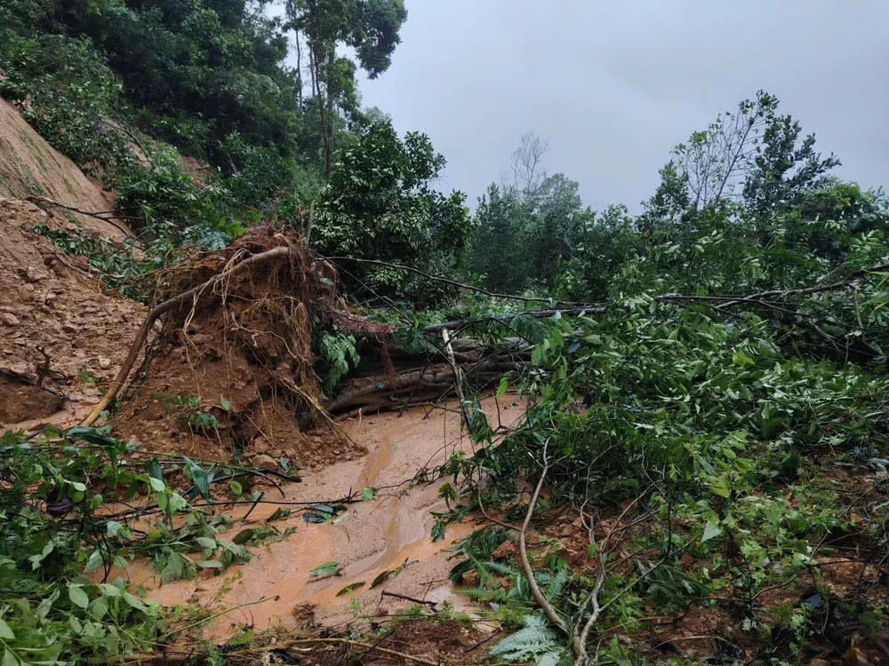 đường xá (1).jpg