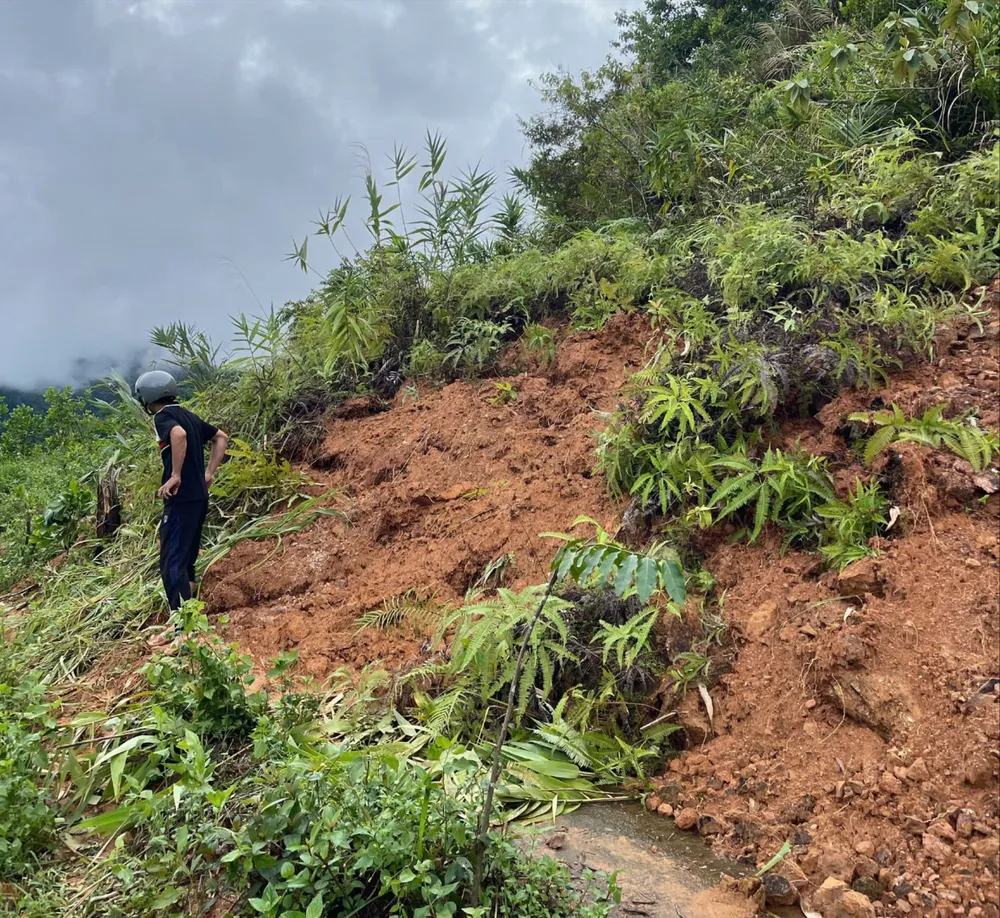 sơn tây hạ (1).jpg