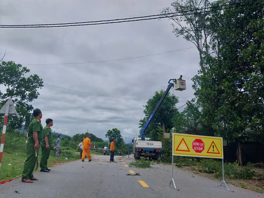 đông trà bồng (19).jpg