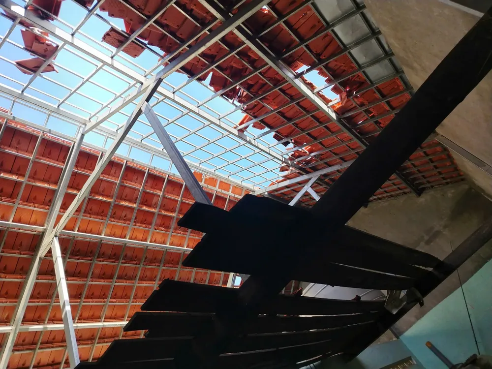 LONG PHỤNG (4).jpg