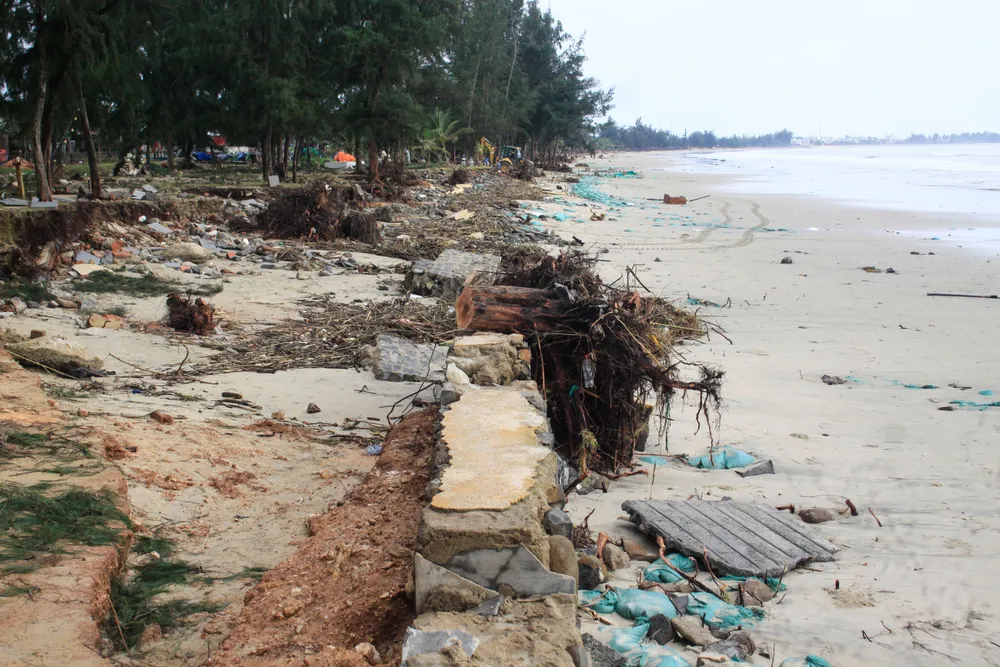 Träd utspridda på stranden i Tinh Khe-kommunen, Quang Ngai-provinsen den 8 november. Foto: NGUYEN TRANG sau bao 5 (1 of 1).jpg