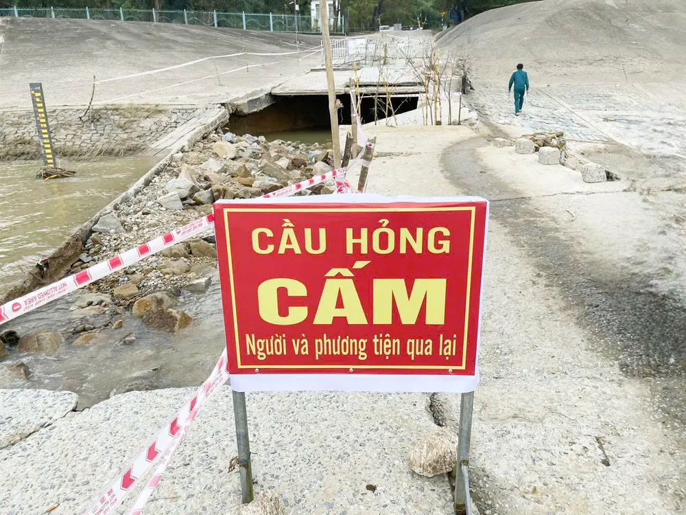 cau tran 1 (1 of 1).jpg