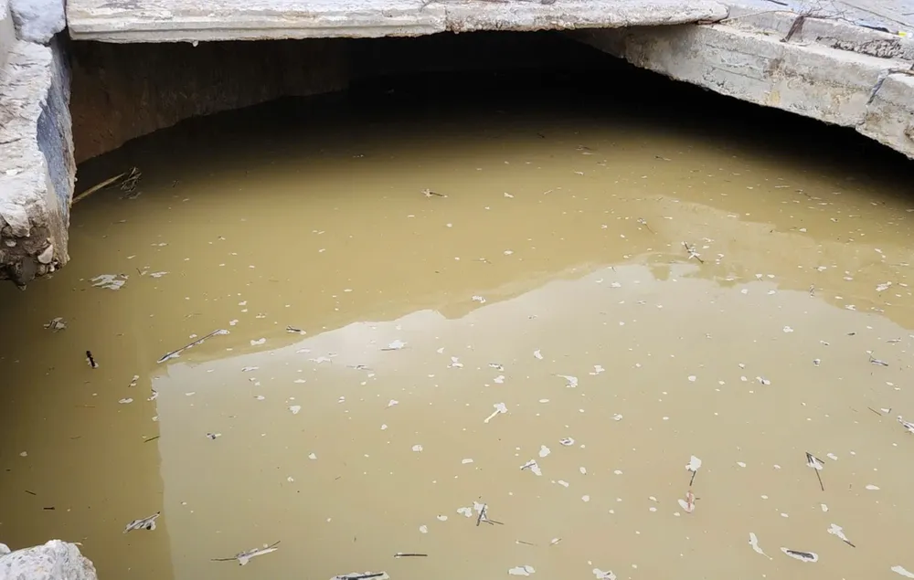 cau tran 8 (1 of 1).jpg