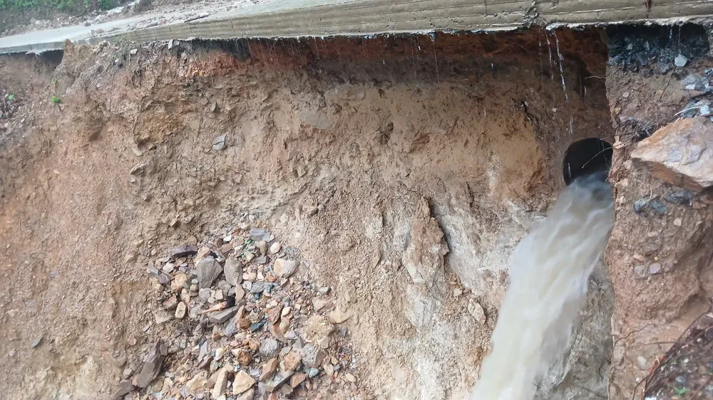 1228309549252278597 (2).jpg