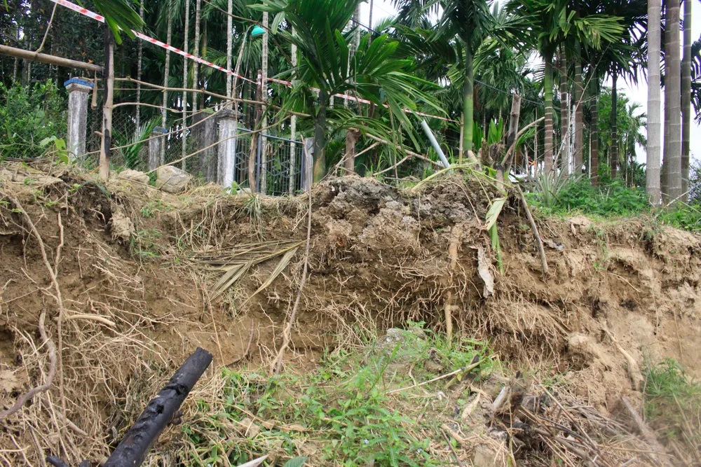 phuoc giang 1 (1 of 1).jpg