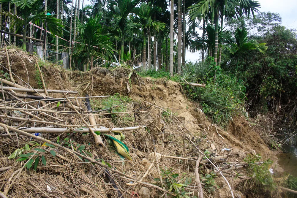 phuoc giang 5 (1 of 1).jpg