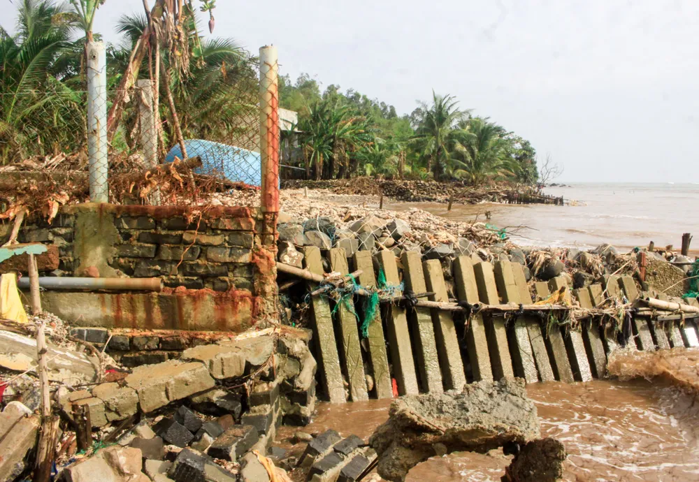 sat lo 1 (1 of 1).jpg