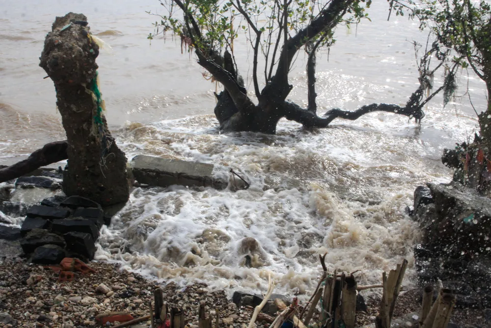 sat lo 11 (1 of 1).jpg