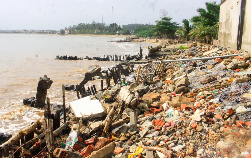 sat lo 2 (1 of 1).jpg