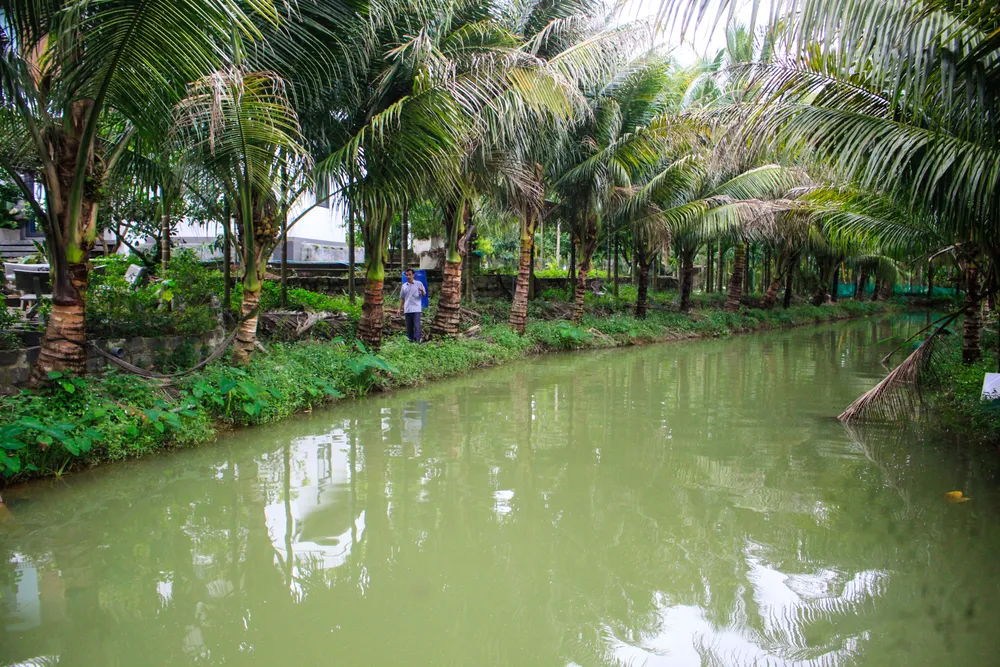 nong dan 1 (1 of 1).jpg