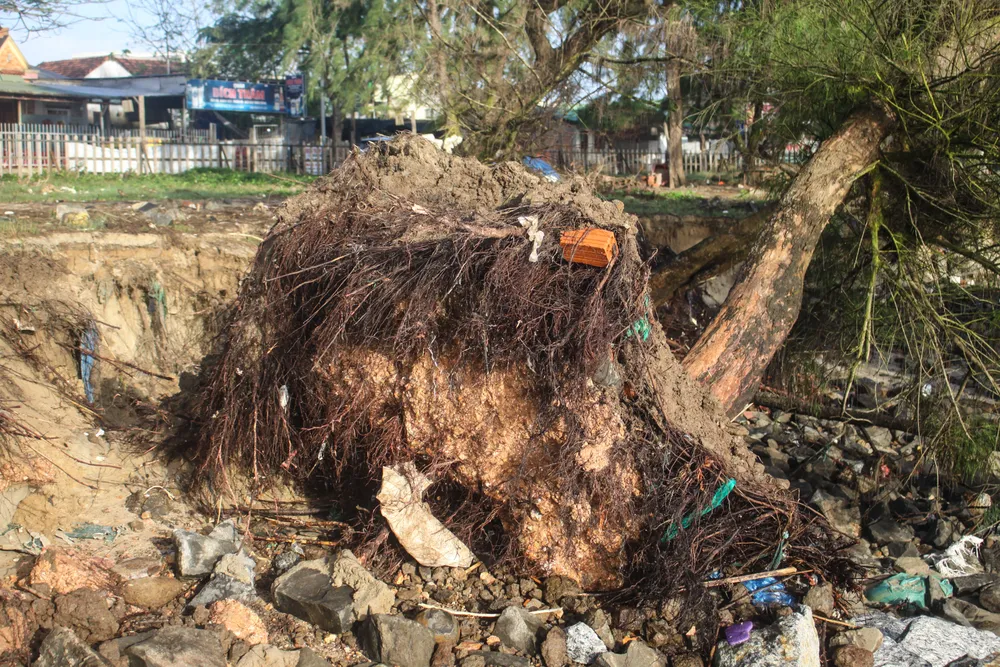 tinh khe 10 (1 of 1).jpg