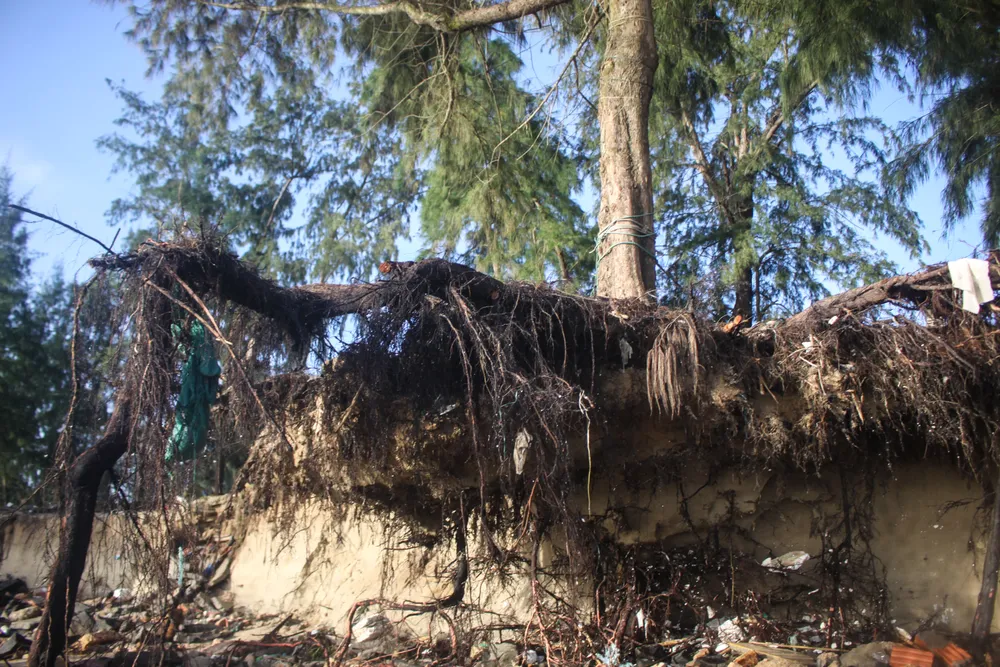 tinh khe 12 (1 of 1).jpg