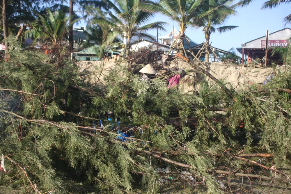 tinh khe 20 (1 of 1).jpg