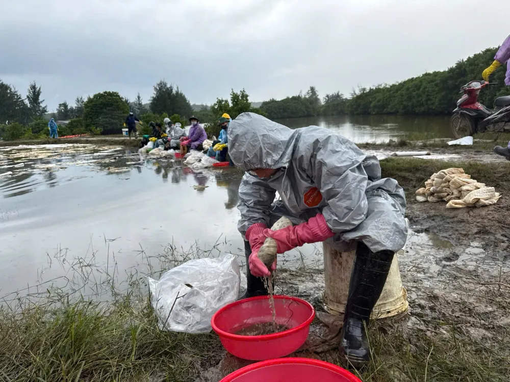 Thu gom dầu tràn sau xảy ra sự cố