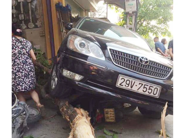 Xe ô tô Camry tông đổ cây xanh trên vỉa hè.