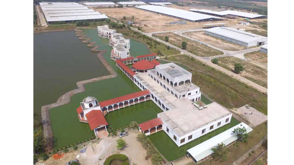 Vinamilk nhập khẩu 2.000 con bò sữa từ Mỹ ảnh 5