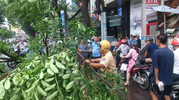 Cây xanh gãy đè ô tô, giao thông ùn tắc  ảnh 2