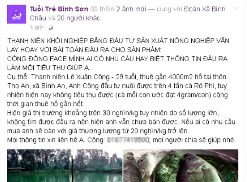 Nuôi cá 1 năm, nam thanh niên nhờ mạng xã hội “giải cứu” 8 tấn cá ảnh 3
