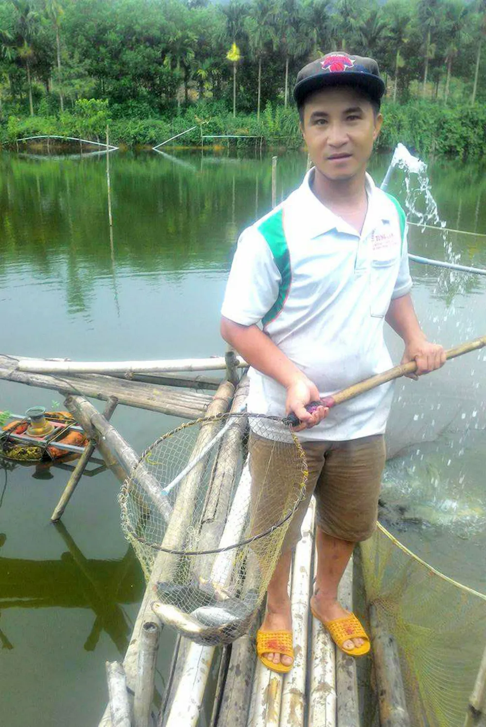 Nuôi cá 1 năm, nam thanh niên nhờ mạng xã hội “giải cứu” 8 tấn cá ảnh 1