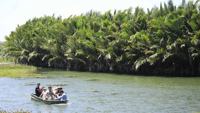 Quảng Ngãi: Chính quyền muốn chặt 50ha dừa nước, nhà khoa học nói phải giữ ảnh 4 Quảng Ngãi: Chính quyền muốn chặt 50ha dừa nước, nhà khoa học nói phải giữ ảnh 4