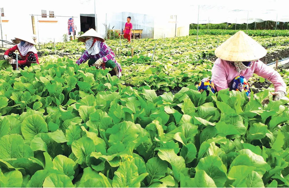 Đề tài nghiên cứu khoa học “trùm mền” vì thiếu vốn ảnh 1 Đề tài nghiên cứu khoa học “trùm mền” vì thiếu vốn ảnh 1