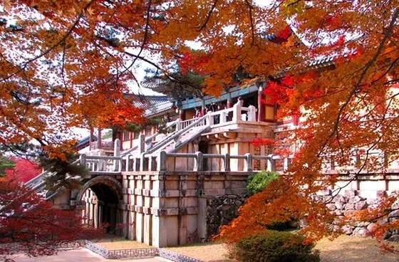 Thành phố Daegu và tỉnh Gyeongbuk quảng bá du lịch tại TPHCM ảnh 1