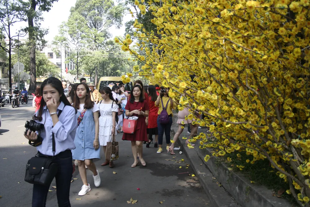 Phố ông Đồ Mậu Tuất rộn ràng ngày cận Tết ảnh 9