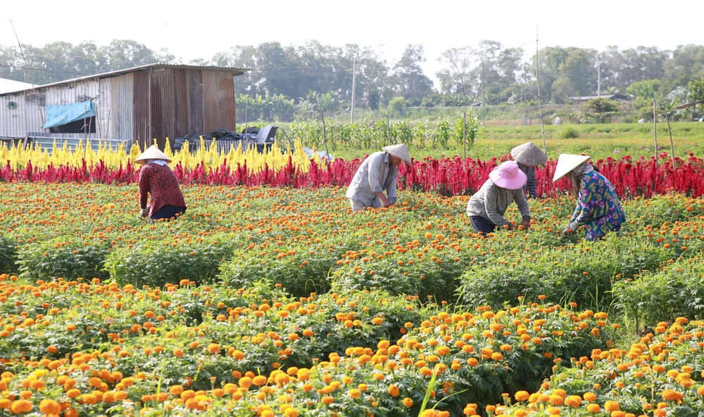 Phát triển Tân Uyên thành đô thị du lịch ven sông ảnh 1 Phát triển Tân Uyên thành đô thị du lịch ven sông ảnh 1