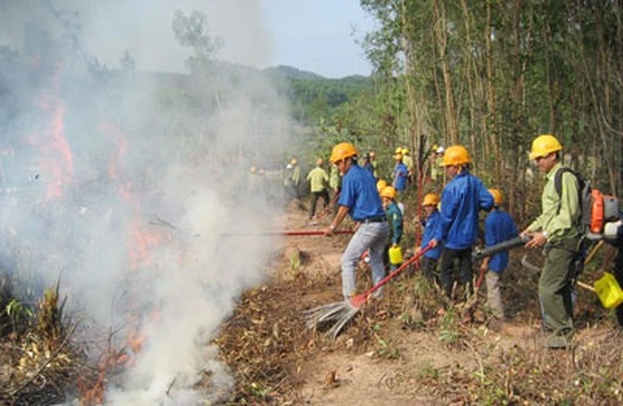 Đắk Nông chủ động phòng chống cháy rừng mùa khô 