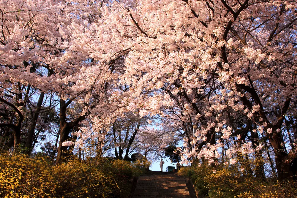 Incheon - Thành phố của lễ hội và sự kiện ảnh 1