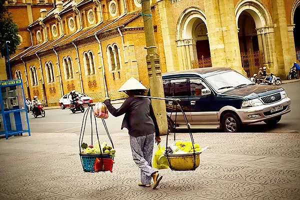 Mong mẹ thôi là một cánh cò ảnh 1