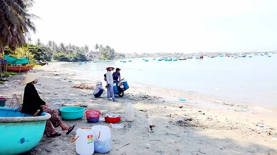 Không lấy bãi biển làm của riêng ảnh 1 Không lấy bãi biển làm của riêng ảnh 1