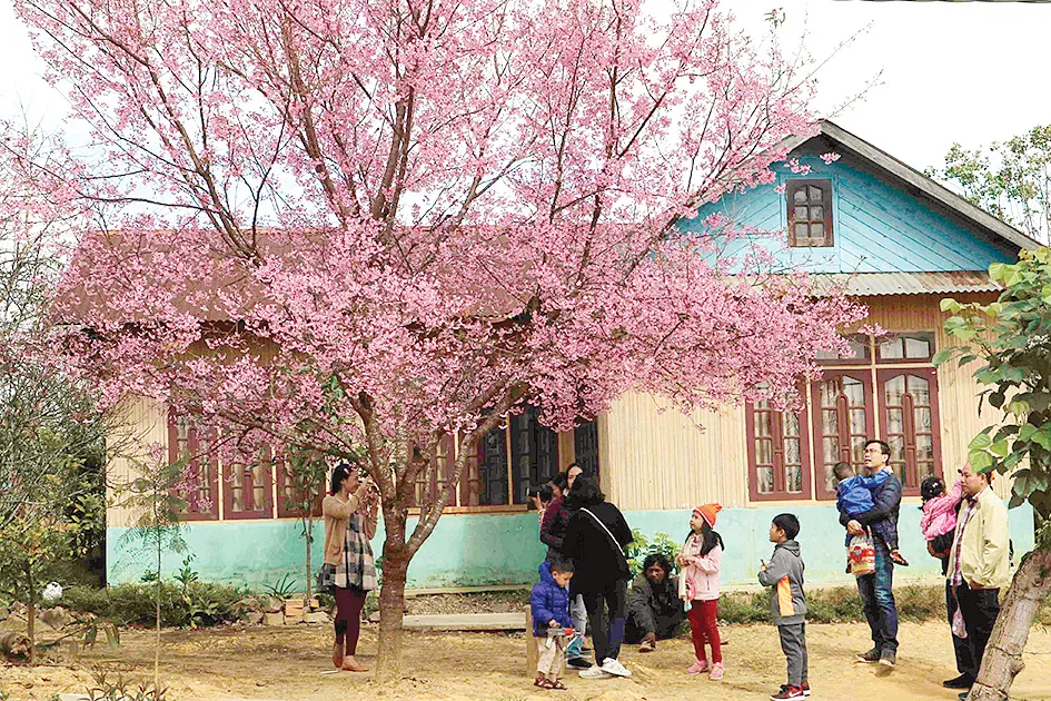 Rộn ràng sắc xuân ảnh 3