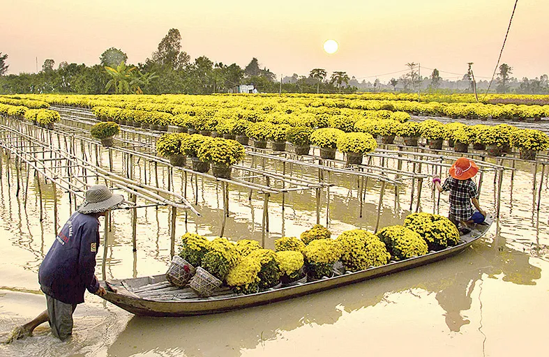 Rộn ràng sắc xuân ảnh 6