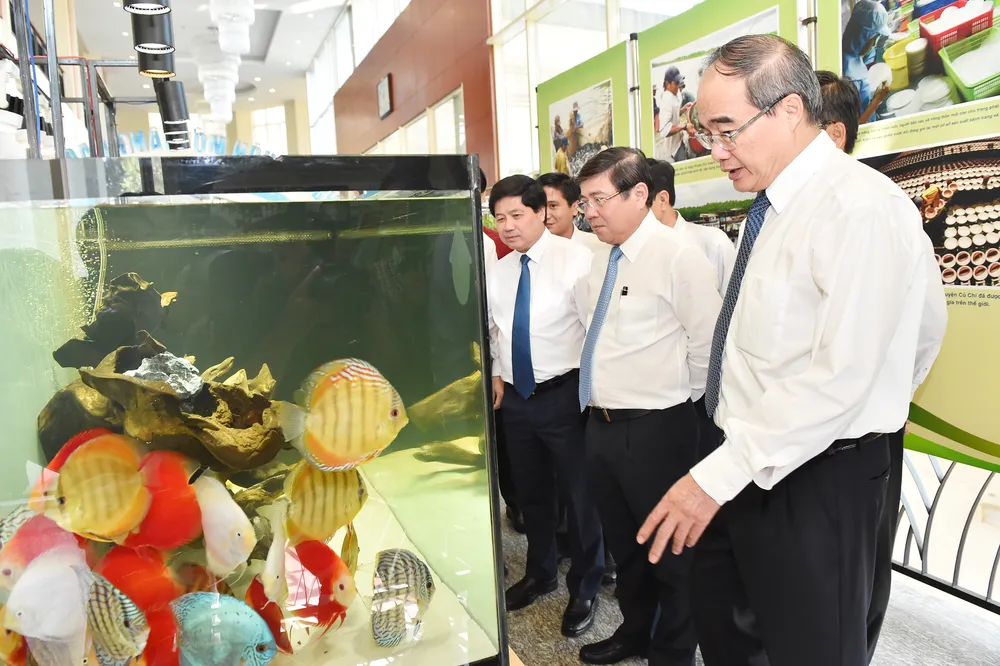 TPHCM xây dựng bộ tiêu chí nông thôn mới phù hợp với quá trình đô thị hóa ảnh 4 TPHCM xây dựng bộ tiêu chí nông thôn mới phù hợp với quá trình đô thị hóa ảnh 4